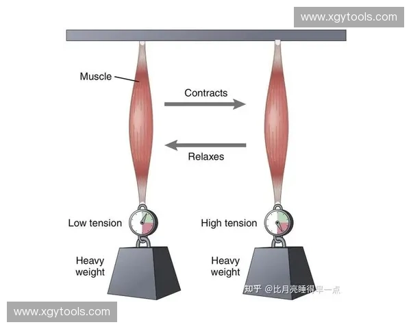 等张收缩现象的研究与应用探索：理论基础、实验分析与工程实践